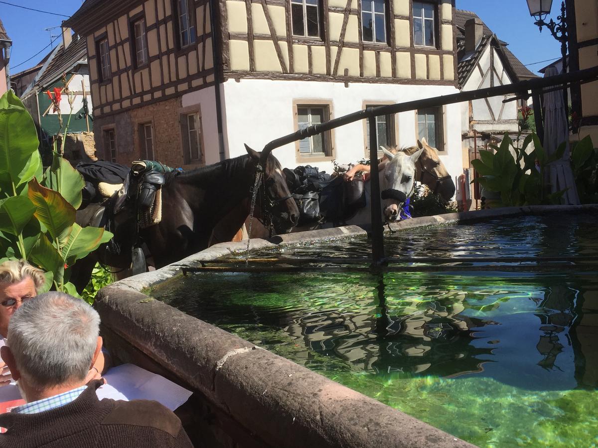 Auberge Du Rempart 埃圭斯海姆 外观 照片